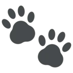 Paw Prints