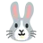 Rabbit Face