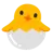 Hatching Chick
