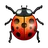 Lady Beetle