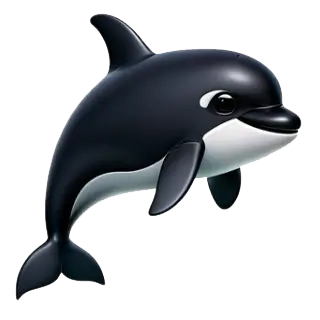 Orca