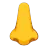 Nose
