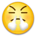 Face With Steam From Nose