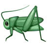 Emoji Cricket 🦗 image - WhatsApp style