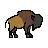 Bison
