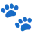 Paw Prints