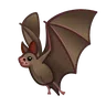 Chauve souris Emoji 🦇 image - Telegram style