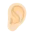 Ear: Light Skin Tone