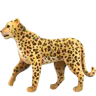 Emoji Leopardo 🐆 image - Apple style