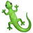 Lizard