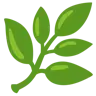 Emoji Erba 🌿 image - Google Noto Color style