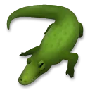 Crocodile
