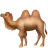 Two-Hump Camel