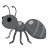 Ant