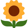 Sunflower Emoji 🌻 image - Twitter / X (Twemoji) style