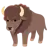 Bison
