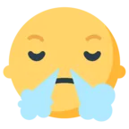 Face With Steam From Nose