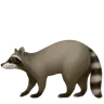 Emoji Procione 🦝 image - Apple style