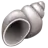 Spiral Shell