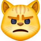 털이있는 고양이 얼굴