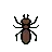 Ant