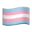 Transgender Flag