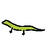 Emoji Lucertola 🦎 image - OpenMoji style