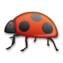 Lady Beetle