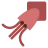 Squid