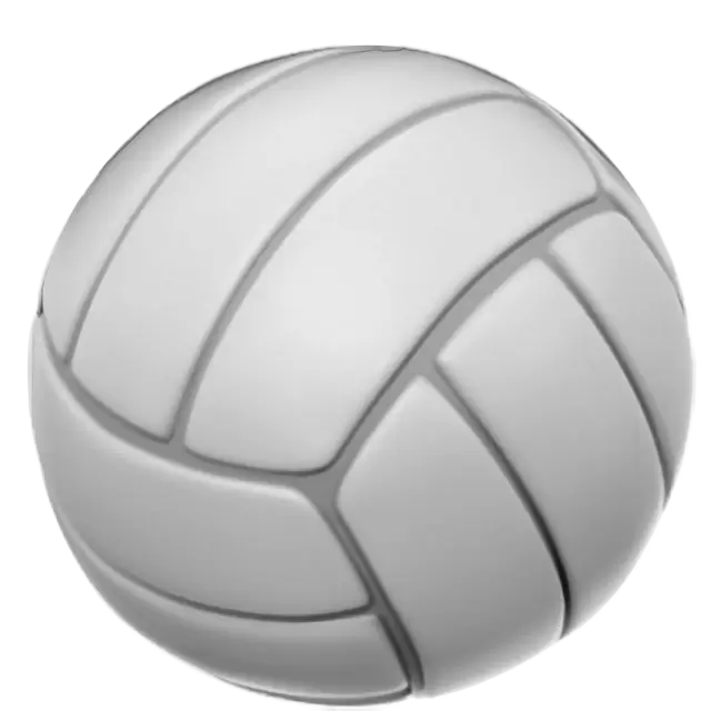 Pallavolo