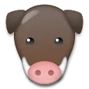 Boar