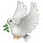 Dove