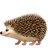 Hedgehog