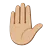 Raised Hand: Medium-Light Skin Tone