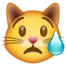 哭泣的貓 Emoji 😿 image - WhatsApp style