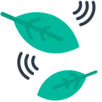 Leaf Fluttering In Wind