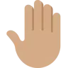 Raised Back Of Hand: Medium Skin Tone Emoji 🤚🏽 image - Twitter / X (Twemoji) style