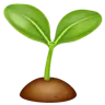กล้าไม้ Emoji 🌱 image - WhatsApp style