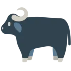 Water Buffalo