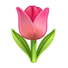 Tulip Emoji 🌷 image - Telegram style