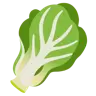 เขียวชอุ่มใบ Emoji 🥬 image - Google Noto Color style