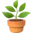 Potted Plant