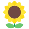 Sunflower Emoji 🌻 image - Tossface style