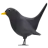 Black Bird
