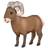 Ram