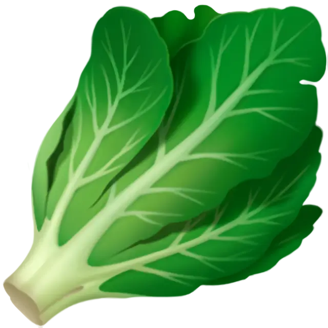 เขียวชอุ่มใบ