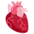 Cuore anatomico