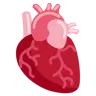 Anatomical Heart Emoji 🫀 image - Twitter / X (Twemoji) style
