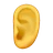 Ear