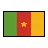 Flag: Cameroon
